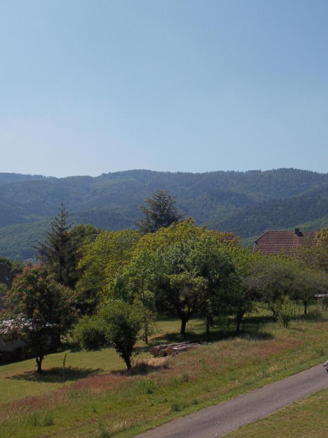 Maison De Vacances "Le Longchamp" Villa Osenbach Exterior foto